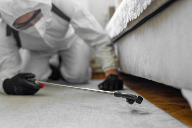 Professional Termite Control technician working in Linwood, PA