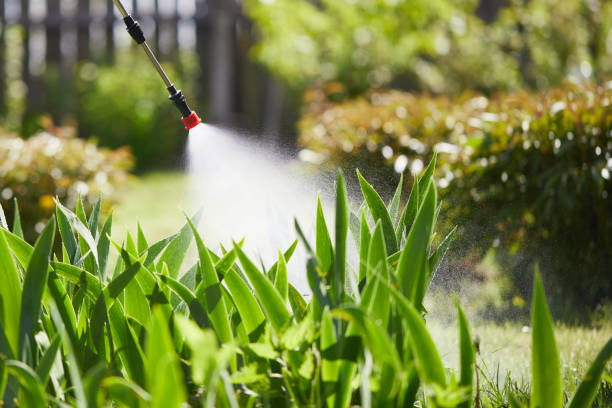 24/7 Emergency Termite Control experts in Linwood, PA