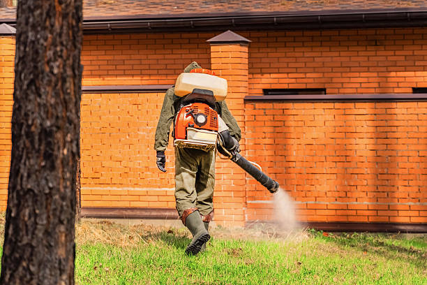 Trusted Cockroach Control service in Linwood, PA - Nex Pest Control